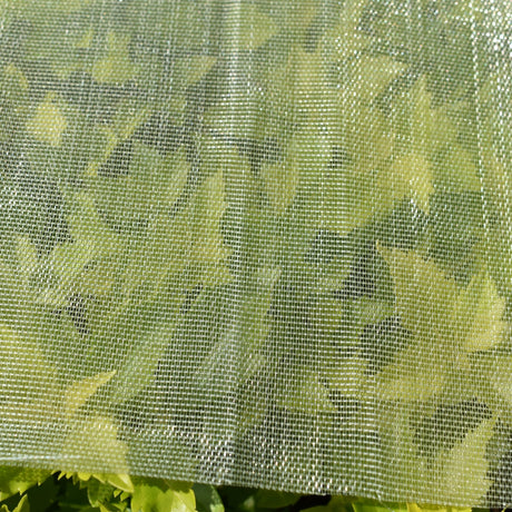 2330017TRANSP Malla Control de Insectos 55 MESH (55 Agujeros x Pulgada) 4x100m 400m2