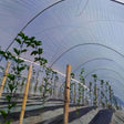13610675 Plástico invernadero Agroclear ancho 6.1m x 75m largo calibre 6