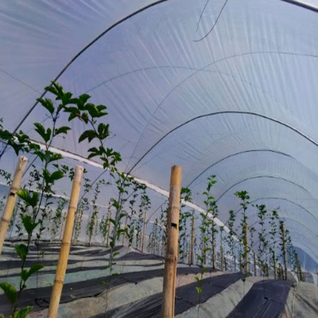 Plástico invernadero Agroclear ancho 2m x 150m largo calibre 6