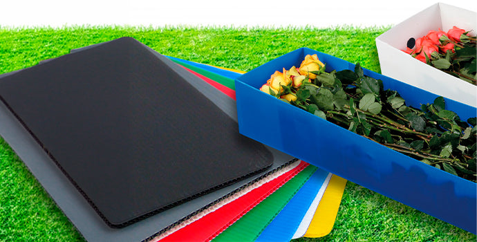 Cartonplast en Colombia