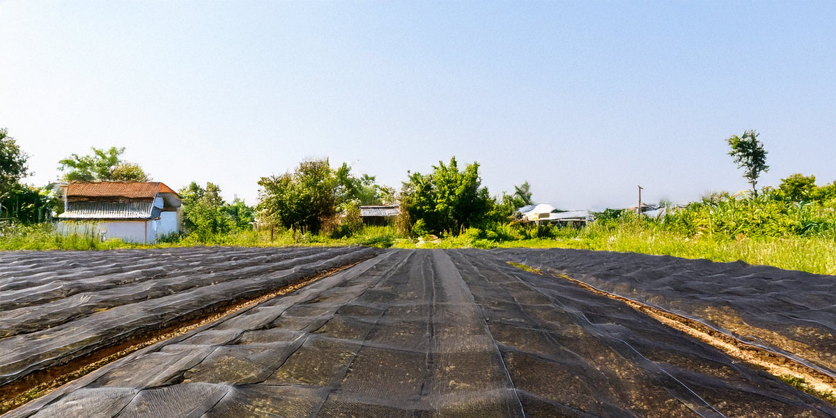 Mallas agrícolas para control climático en invernaderos