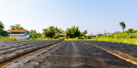 Mallas agrícolas para control climático en invernaderos