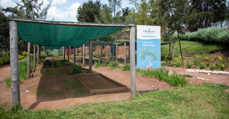 Malla de polisombra verde sobre eras de un vivero de plantas