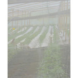 Malla Cortavientos 6x6 4x100 m PEAD Transparente