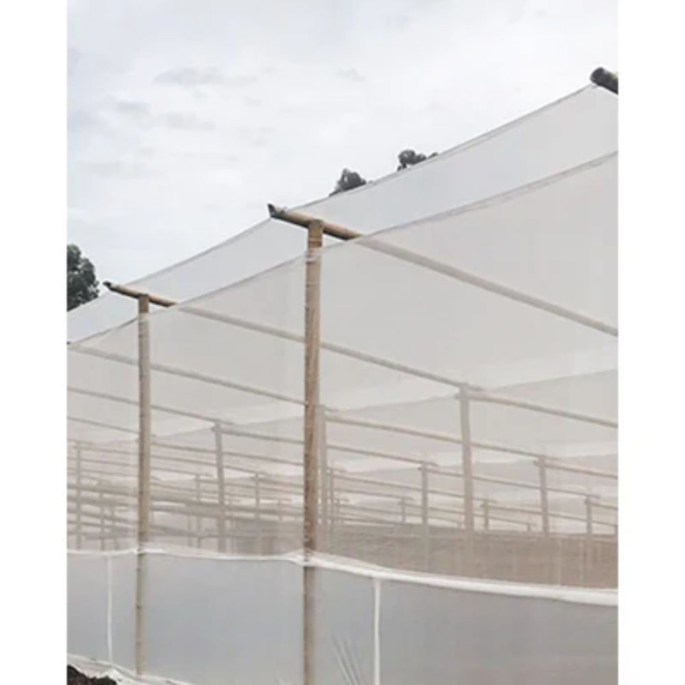 Malla Cortavientos 6x6 4x100 m PEAD Transparente