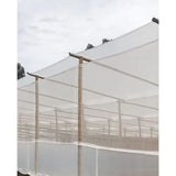 Malla Cortavientos 6x6 4x100 m PEAD Transparente
