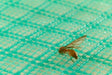 3100115BLANCO Malla Anti Insecto Versátil 2X2X1.2 X 30 M Blanco